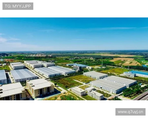 时代企业家引领创新与变革 共绘未来经济蓝图的智慧与担当